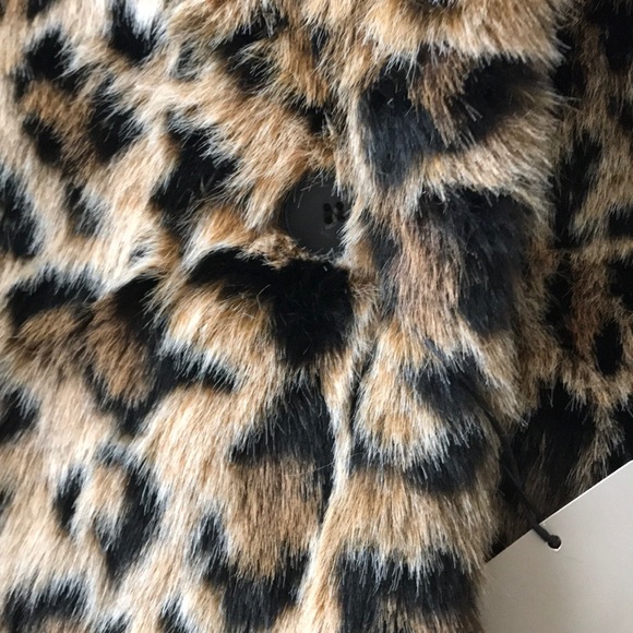 Zara Animal Print Coat - Picture 3 of 6